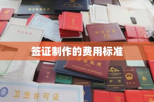 玉龙签证制作的费用标准